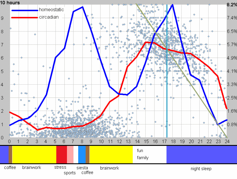 Optimizing the timing of brainwork with respect to the circadian cycle.